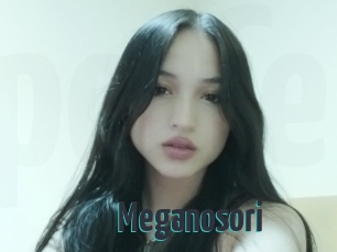 Meganosori