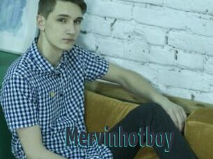 Mervinhotboy