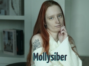 Mollysiber