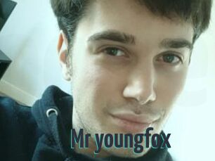 Mr_youngfox