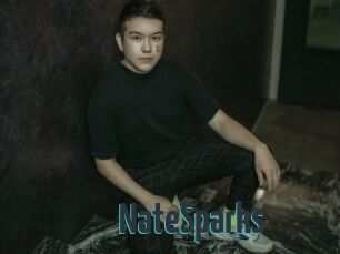 NateSparks