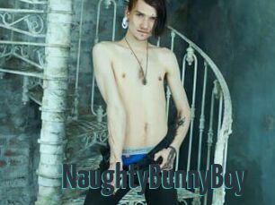 NaughtyBunnyBoy