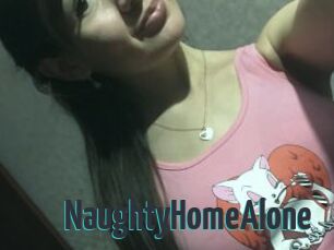 NaughtyHomeAlone