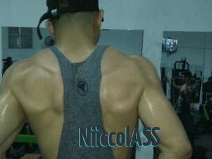 NiiccolASS