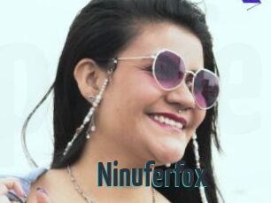 Ninuferfox