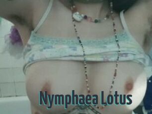 Nymphaea_Lotus