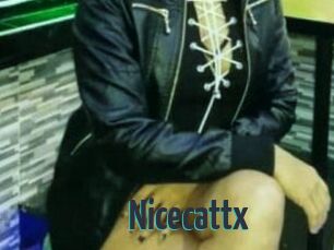 Nicecattx