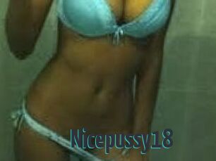 Nicepussy18