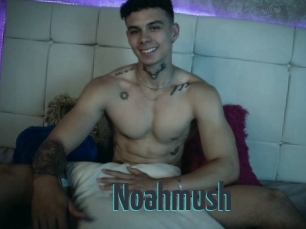 noahmush Porn Fellow