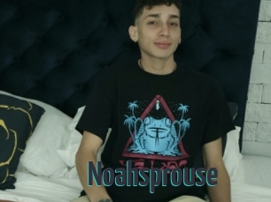 Noahsprouse