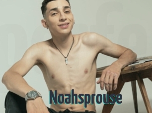 Noahsprouse