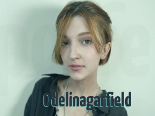 Odelinagarfield
