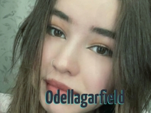 Odellagarfield