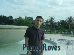 PeaceofLoves