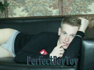 PerfectBoyToy