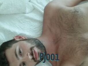 Pj001