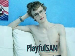 PlayfulSAM