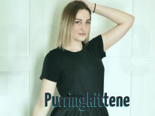 Purringkittene