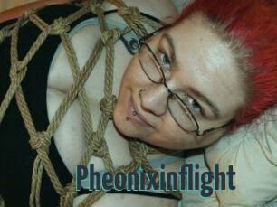 Pheonixinflight