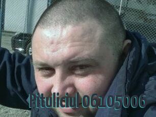Pituliciul-06105006