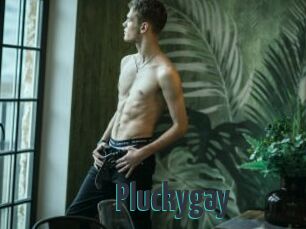 Pluckygay