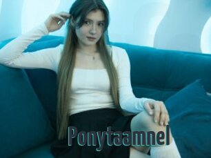 Ponytaamnel