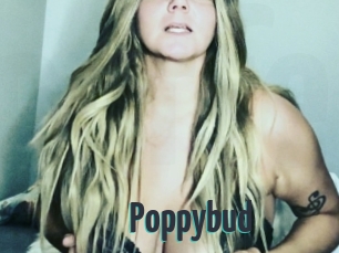 Poppybud