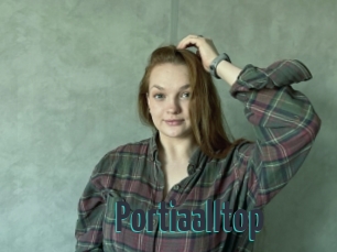 Portiaalltop