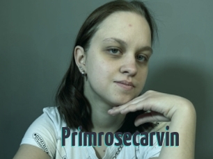 Primrosecarvin
