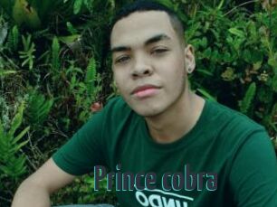 Prince_cobra