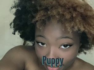 Puppy