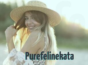 Purefelinekata