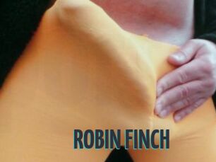 ROBIN_FINCH
