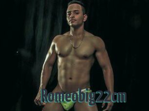 Romeobig22cm