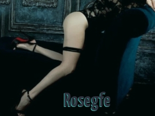Rosegfe
