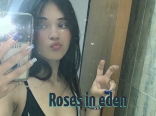 Roses_in_eden