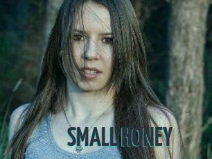 SMALL_HONEY