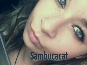 Sambucacat