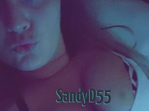 SandyD55