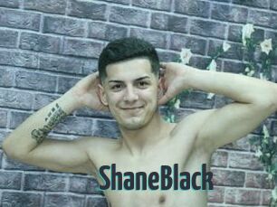ShaneBlack
