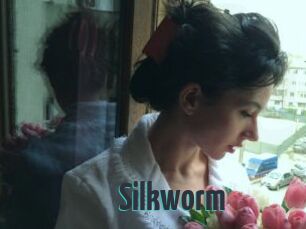 Silkworm