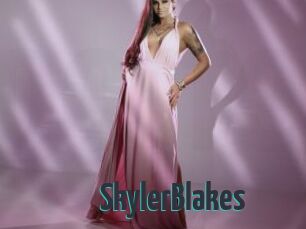 SkylerBlakes