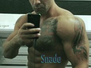 Snade