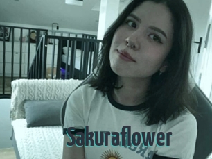 Sakuraflower