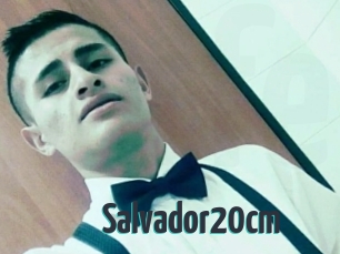 Salvador20cm