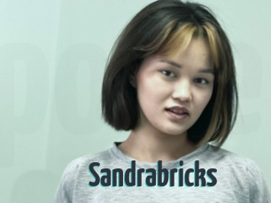Sandrabricks