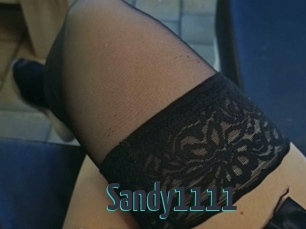 Sandy1111