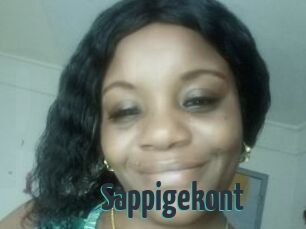 Sappigekont