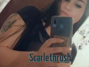 Scarlethrush