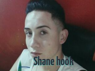 Shane_hook
